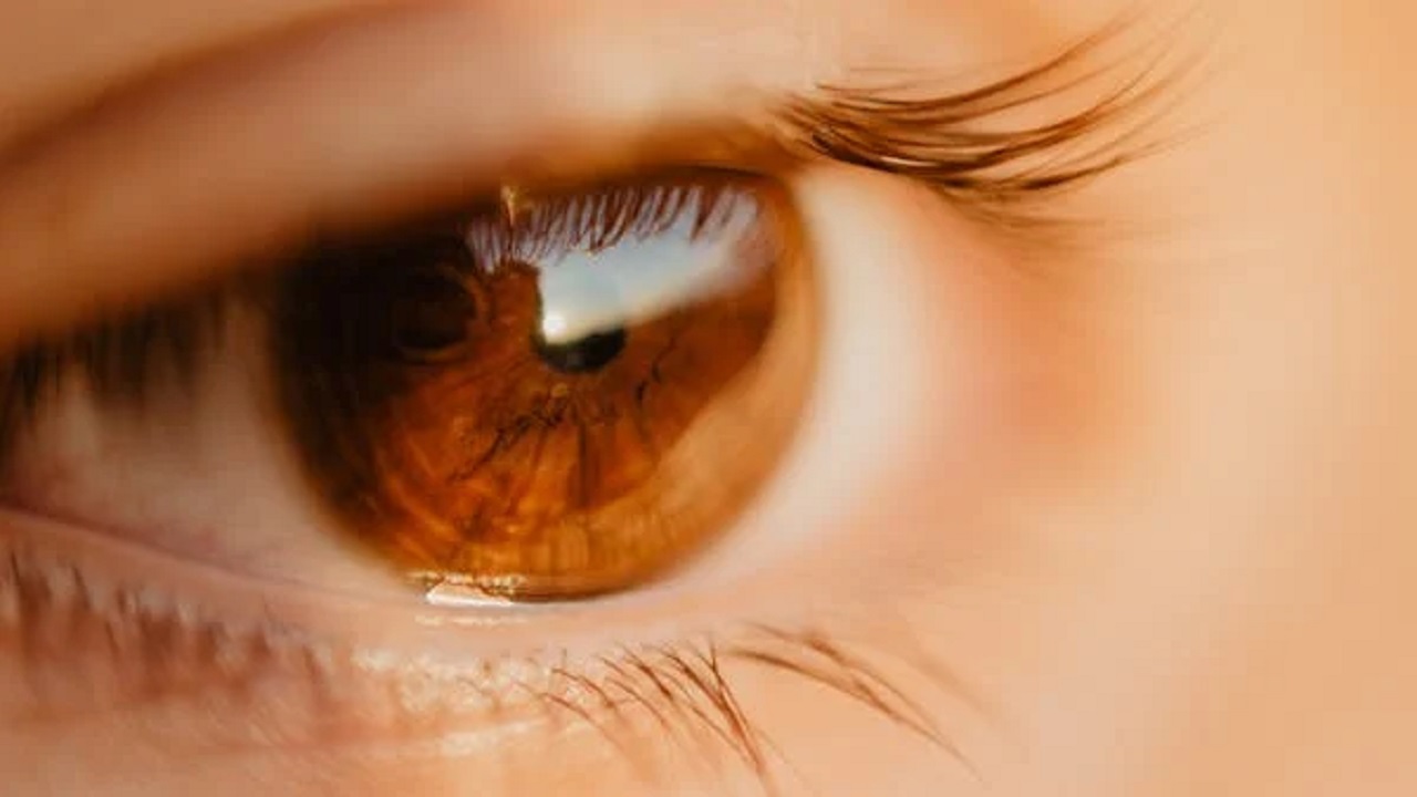 ตาบอดสี ส่งผลต่อการใช้ชวิตประจำวันหรือไม่